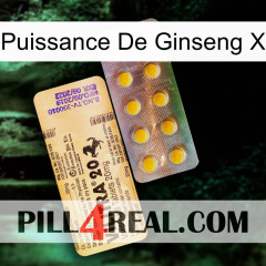 Ginseng Power X new06